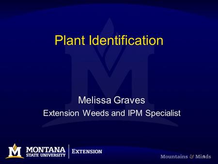 Extension Weeds and IPM Specialist