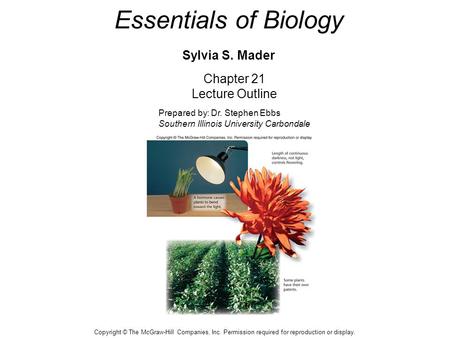 Essentials of Biology Sylvia S. Mader