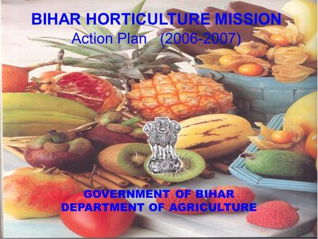 BIHAR HORTICULTURE MISSION Action Plan (2006-2007) GOVERNMENT OF BIHAR DEPARTMENT OF AGRICULTURE.