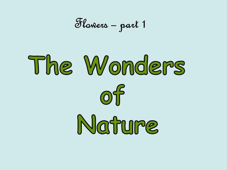 Flowers – part 1. Nature was Wanda's favorite teacher. To her all things in nature offered an opportunity to investigate the wonders of the natural world.