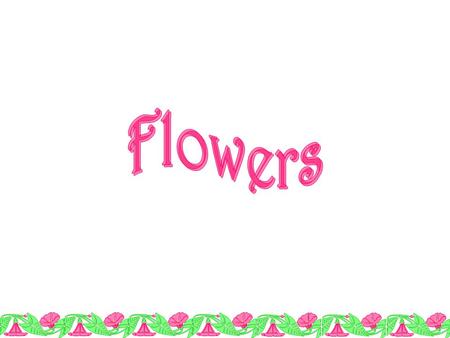 Flowers.