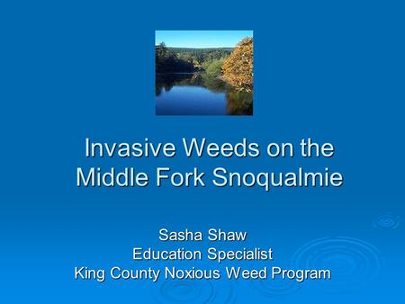 Invasive Weeds on the Middle Fork Snoqualmie