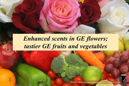 Enhanced scents in GE flowers; tastier GE fruits and vegetables SOURCE: Genetically enhancing the scent of flowers, SeedQuest, 10/6/08.