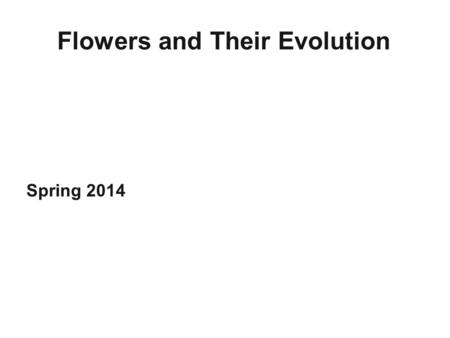 Flowers and Their Evolution