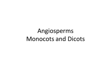 Angiosperms Monocots and Dicots