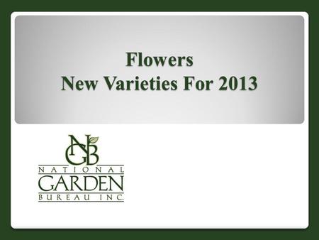 Flowers New Varieties For 2013