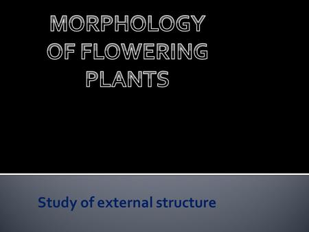 Study of external structure