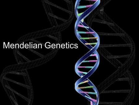 Mendelian Genetics.