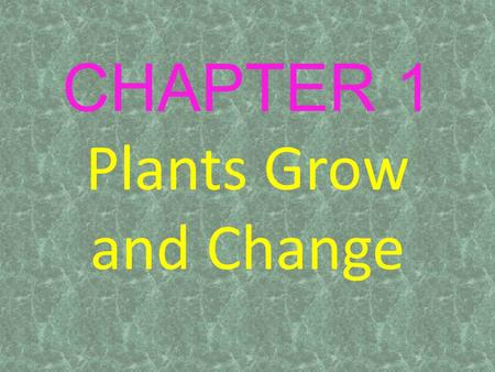 CHAPTER 1 Plants Grow and Change