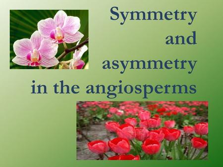 Symmetry and asymmetry in the angiosperms.