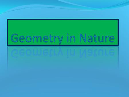 Geometry is a Greek word meaning earth measure.