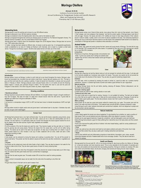 Moringa Oleifera Interesting facts Malnutrition Animal fodder