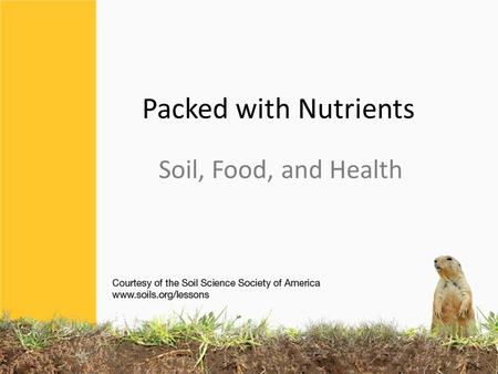 Packed with Nutrients Soil, Food, and Health. SOIL is the ultimate source of nutrients our bodies need Nutrients come from plants growing in soil or from.