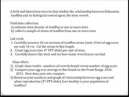 A field and laboratory exercise that studies the relationship between Dalmation toadflax and its biological control agent, the stem weevil. Field data.