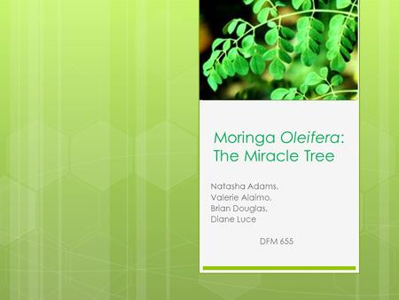 Moringa Oleifera: The Miracle Tree