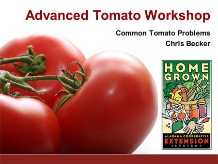 Advanced Tomato Workshop