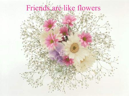 Friends are like flowers. They add color to your life.