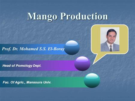 Mango Production Prof. Dr. Mohamed S.S. El-Boray