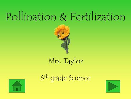 Pollination & Fertilization