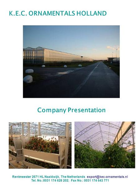 K.E.C. ORNAMENTALS HOLLAND Company Presentation Rentmeester 2671 HL Naaldwijk, The Netherlands. Tel. No.:0031 174 628 202; Fax.