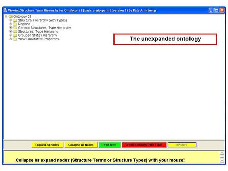 The unexpanded ontology. Partially expanded structural hierarchy, tree connections represent part-of relations; note types-of structures are also shown.