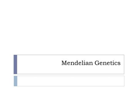 Mendelian Genetics.