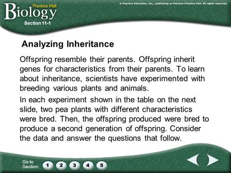 Analyzing Inheritance