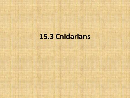 15.3 Cnidarians.