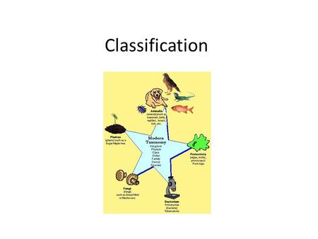 Classification.