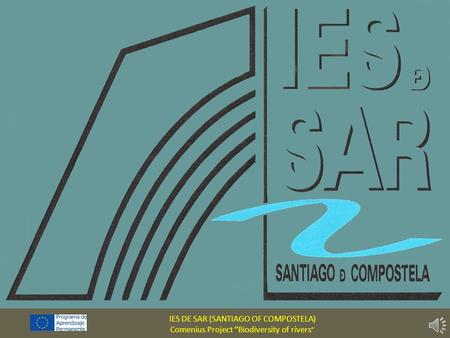 IES DE SAR (SANTIAGO OF COMPOSTELA) Comenius Project Biodiversity of rivers.