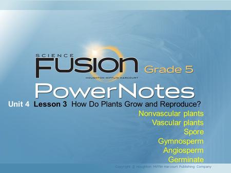 Unit 4 Lesson 3 How Do Plants Grow and Reproduce? Nonvascular plants