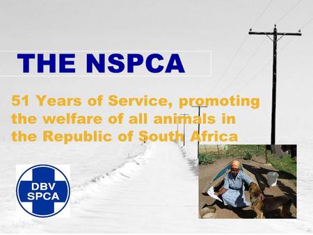 THE NSPCA 51 Years of Service, promoting the welfare of all animals in the Republic of South Africa.