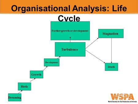 Organisational Analysis: Life Cycle Dreaming Birth Growth Development Turbulence Further growth or development Stagnation Death.