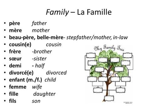 Family – La Famille père father mère mother beau-père, belle-mère- stepfather/mother, in-law cousin(e) cousin frère -brother sœur -sister demi - half divorcé(e)