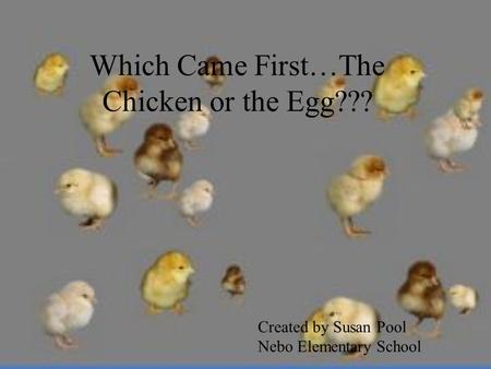 Which Came First…The Chicken or the Egg???