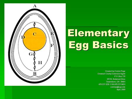 Elementary Egg Basics Created by Connie Page Emanuel County Extension Agent P.O. Box 770 129 N. Anderson Drive Swainsboro, GA 30401 478-237-1226 FAX 478-237-8451.