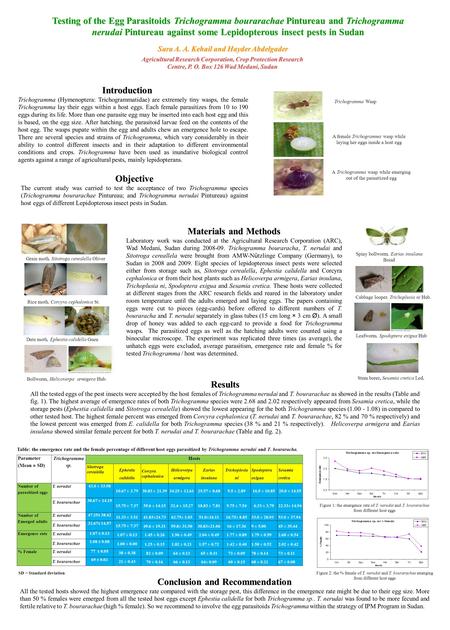 Testing of the Egg Parasitoids Trichogramma bourarachae Pintureau and Trichogramma nerudai Pintureau against some Lepidopterous insect pests in Sudan Sara.