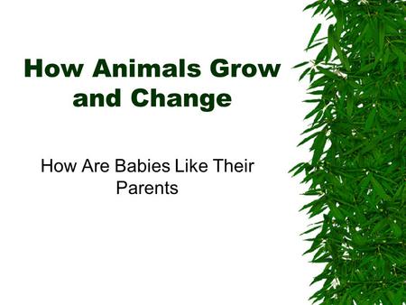 How Animals Grow and Change