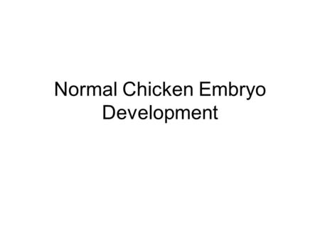 Normal Chicken Embryo Development