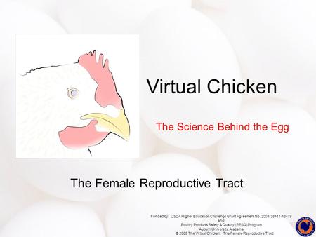 Funded by: USDA Higher Education Challenge Grant Agreement No. 2003-38411-13479 and Poultry Products Safety & Quality (PPSQ) Program Auburn University,