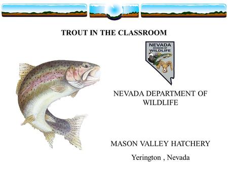 NEVADA DEPARTMENT OF WILDLIFE