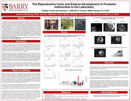 The Reproductive Cycle and Embryo Development of Fundulus heteroclitus in the Laboratory Abstract Introduction Material and Methods Results Discussion.