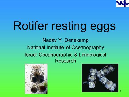 1 Rotifer resting eggs Nadav Y. Denekamp National Institute of Oceanography Israel Oceanographic & Limnological Research.