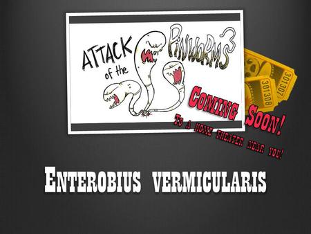 Enterobius vermicularis