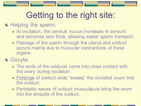 Getting to the right site: Helping the sperm: At ovulation, the cervical mucus increases in amount and becomes less thick, allowing easier sperm transport.