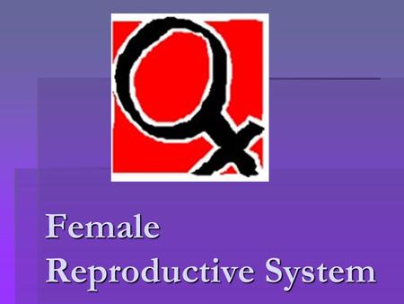 Female Reproductive System