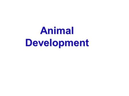 Animal Development.