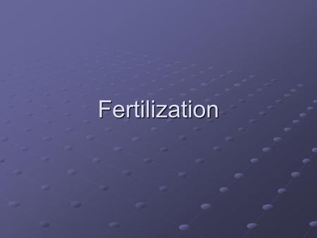 Fertilization.