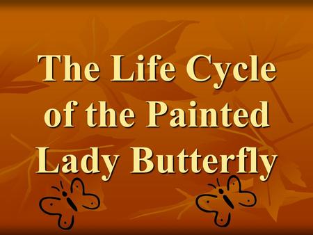 The Life Cycle of the Painted Lady Butterfly