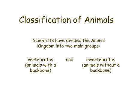 Classification of Animals